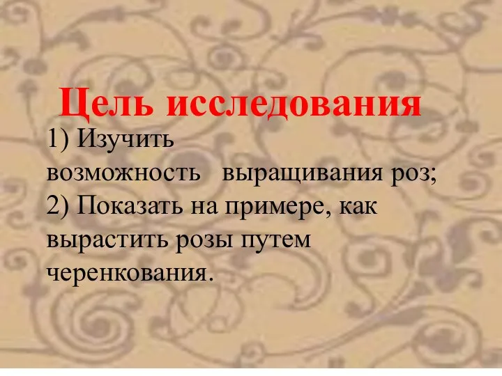 1) Изучить возможность выращивания роз; 2) Показать на примере, как вырастить розы путем черенкования. Цель исследования