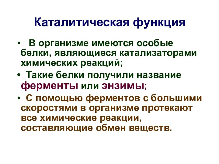 Каталитическая функция В организме имеются особые белки, являющиеся катализаторами химических реакций;