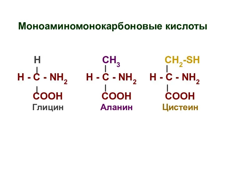 Моноаминомонокарбоновые кислоты H СН3 СН2-SH H - C - NH2 H