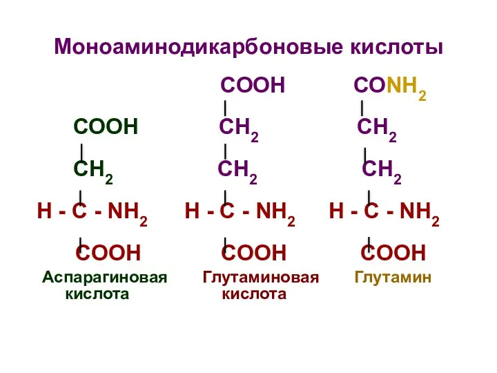 Моноаминодикарбоновые кислоты СООН СОNH2 СООН СН2 СН2 СH2 СН2 СН2 H