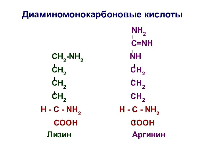 Диаминомонокарбоновые кислоты NH2 C=NH СН2-NH2 NH СH2 СH2 СН2 СН2 СH2