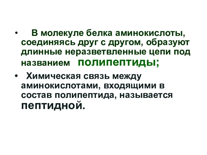 В молекуле белка аминокислоты, соединяясь друг с другом, образуют длинные неразветвленные