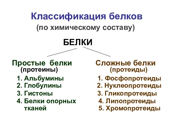 Классификация белков (по химическому составу) БЕЛКИ Простые белки Сложные белки (протеины)