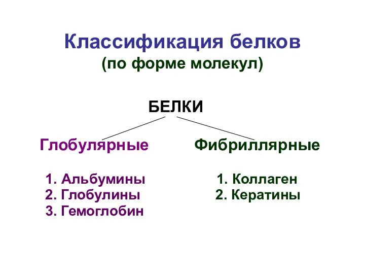 Классификация белков (по форме молекул) БЕЛКИ Глобулярные Фибриллярные 1. Альбумины 1.