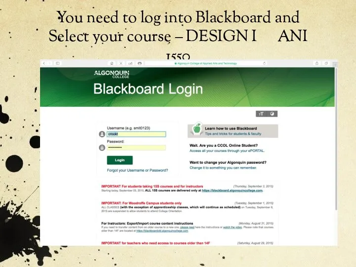 You need to log into Blackboard and Select your course – DESIGN I ANI 1550