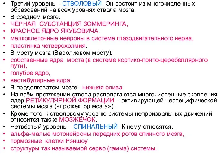 Третий уровень – СТВОЛОВЫЙ. Он состоит из многочисленных образований на всех