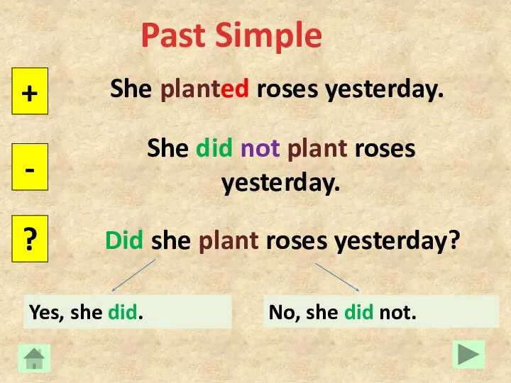 Past Simple She planted roses yesterday. + - ? She did