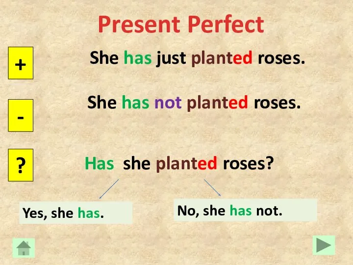 Present Perfect She has just planted roses. + - ? She