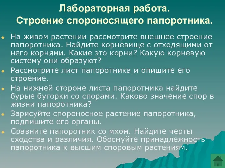 Лабораторная работа. Строение спороносящего папоротника. На живом растении рассмотрите внешнее строение