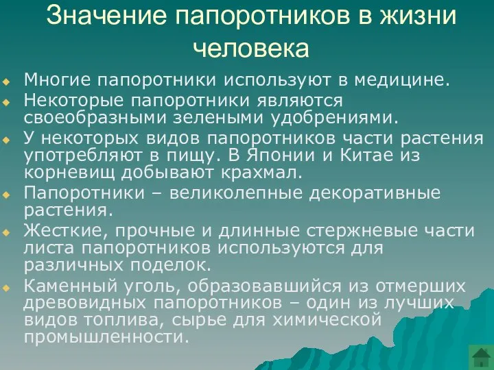 Значение папоротников в жизни человека Многие папоротники используют в медицине. Некоторые