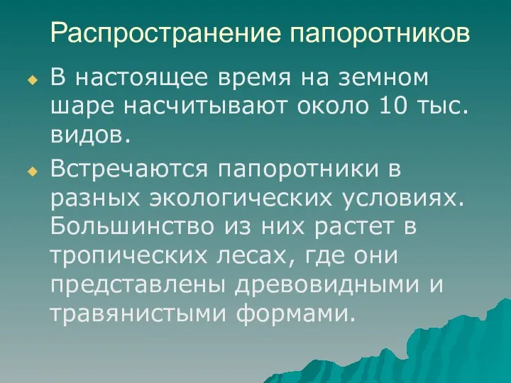 Распространение папоротников В настоящее время на земном шаре насчитывают около 10