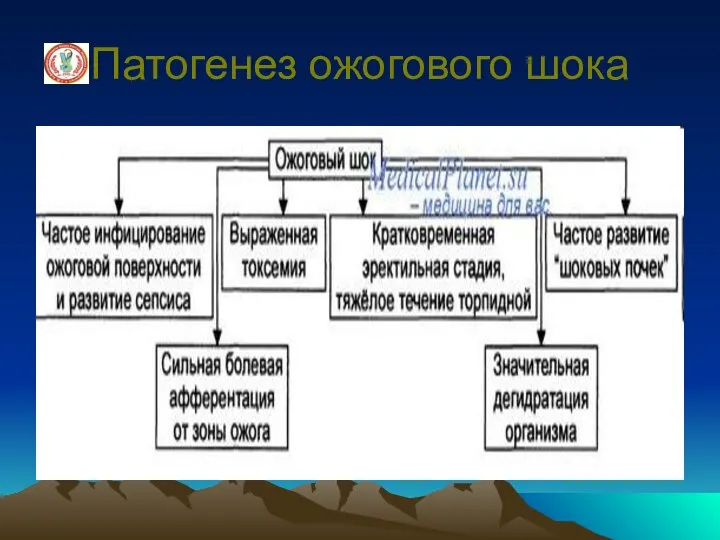 Патогенез ожогового шока