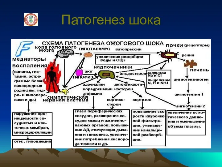 Патогенез шока