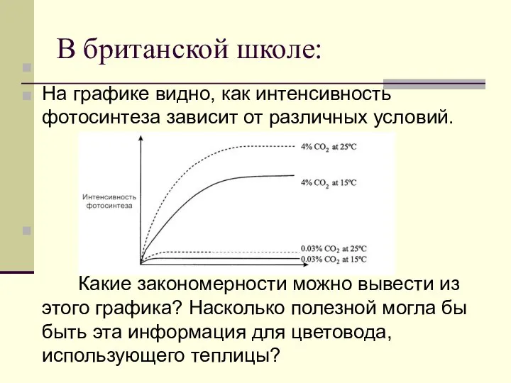 В британской школе: На графике видно, как интенсивность фотосинтеза зависит от