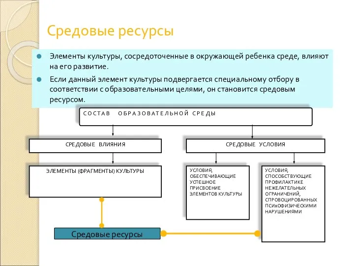 Средовые ресурсы Элементы культуры, сосредоточенные в окружающей ребенка среде, влияют на