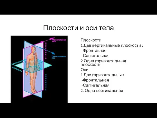 Плоскости и оси тела Плоскости 1.Две вертикальные плоскости : -Фронтаьная -Саггитальная