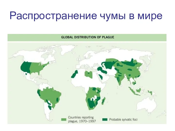 Распространение чумы в мире