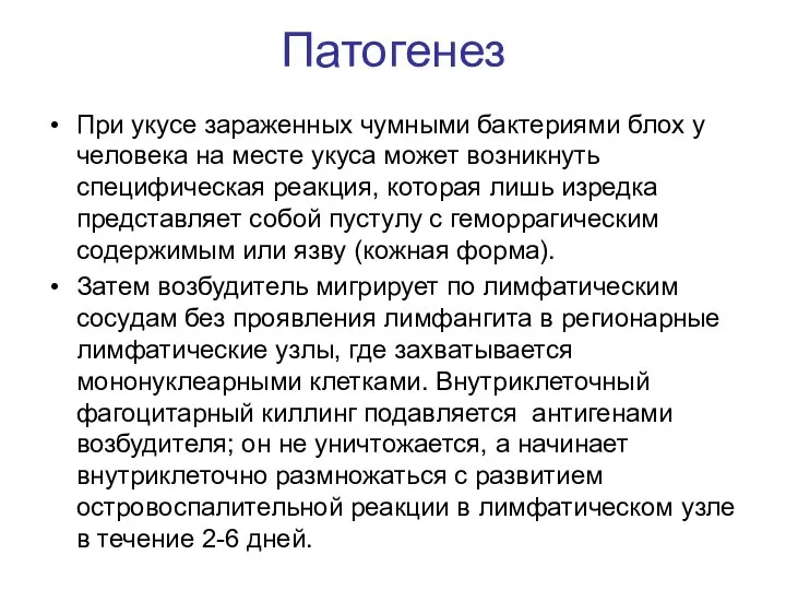 Патогенез При укусе зараженных чумными бактериями блох у человека на месте