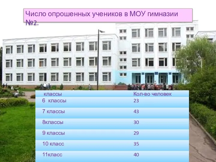 Число опрошенных учеников в МОУ гимназии №2.