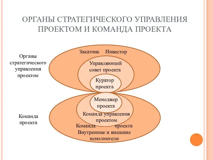 ОРГАНЫ СТРАТЕГИЧЕСКОГО УПРАВЛЕНИЯ ПРОЕКТОМ И КОМАНДА ПРОЕКТА Заказчик Инвестор Управляющий совет