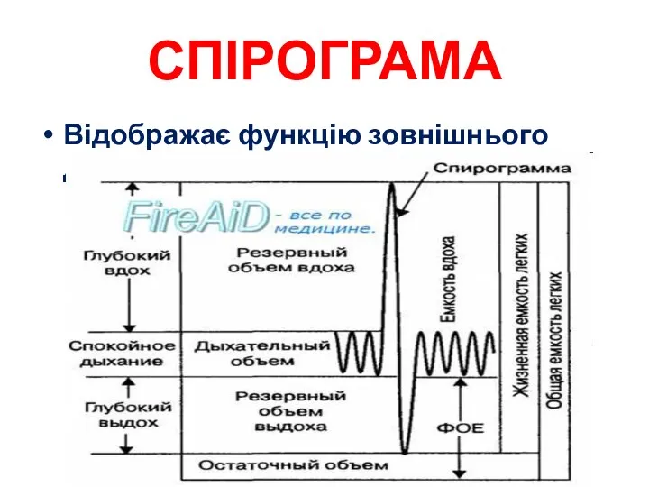 СПІРОГРАМА Відображає функцію зовнішнього дихання
