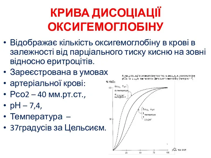 КРИВА ДИСОЦІАЦІЇ ОКСИГЕМОГЛОБІНУ Відображає кількість оксигемоглобіну в крові в залежності від