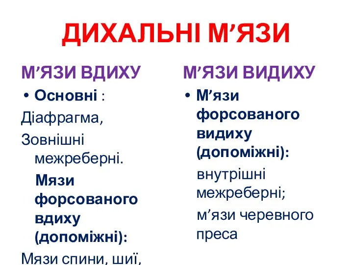 ДИХАЛЬНІ М’ЯЗИ М’ЯЗИ ВДИХУ Основні : Діафрагма, Зовнішні межреберні. Мязи форсованого