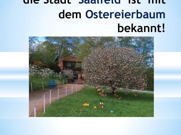 die Stadt Saalfeld ist mit dem Ostereierbaum bekannt!