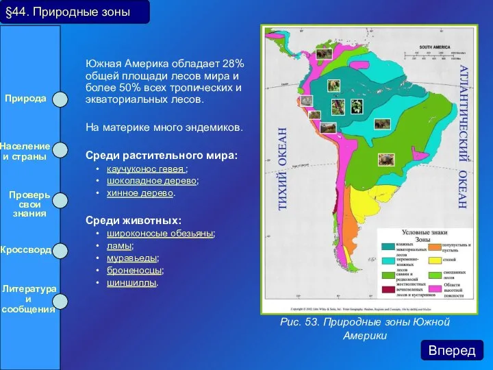 Южная Америка обладает 28% общей площади лесов мира и более 50%