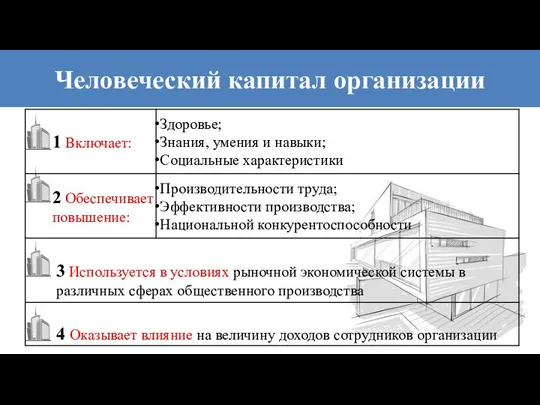 Человеческий капитал организации