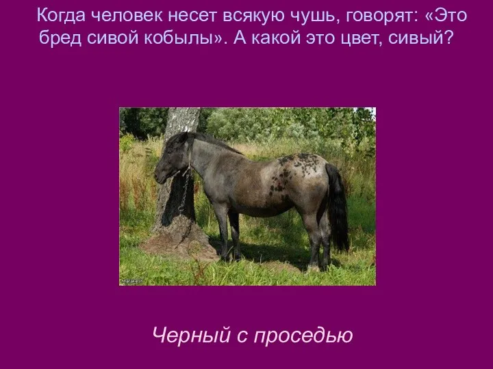 Когда человек несет всякую чушь, говорят: «Это бред сивой кобылы». А