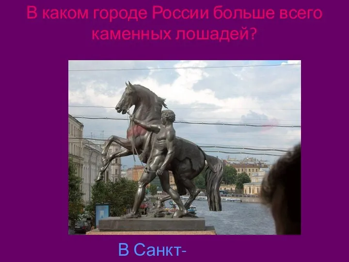 В каком городе России больше всего каменных лошадей? В Санкт-Петербурге