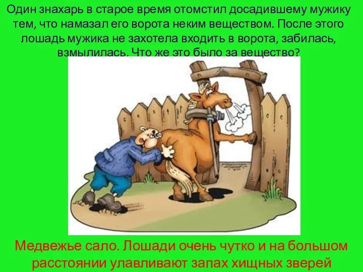 Один знахарь в старое время отомстил досадившему мужику тем, что намазал