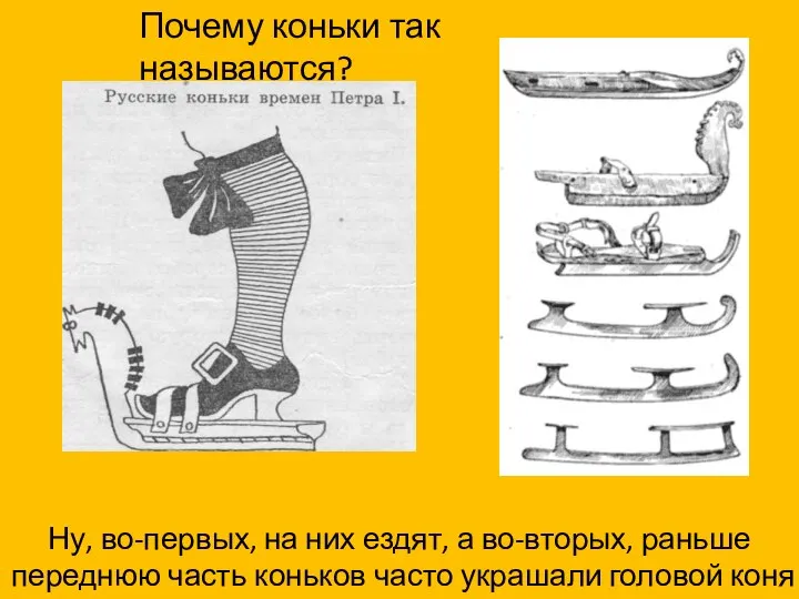 Почему коньки так называются? Ну, во-первых, на них ездят, а во-вторых,