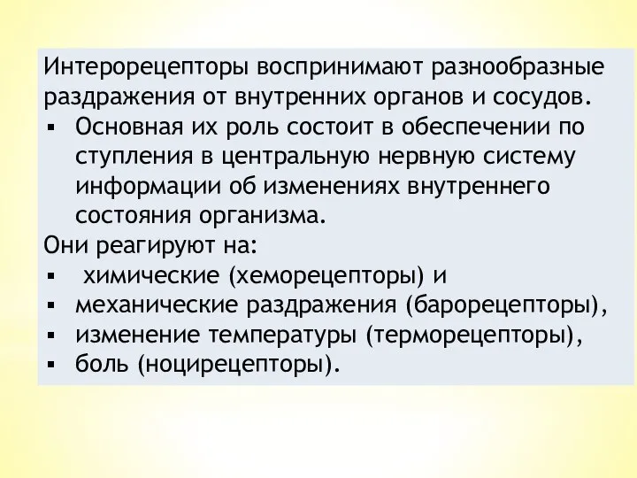 Интерорецепторы воспринимают разнообразные раздражения от вну­тренних органов и сосудов. Основная их