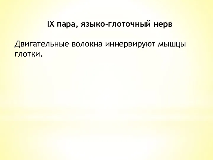 IX пара, языко-глоточный нерв Двигательные волокна иннервируют мышцы глотки.