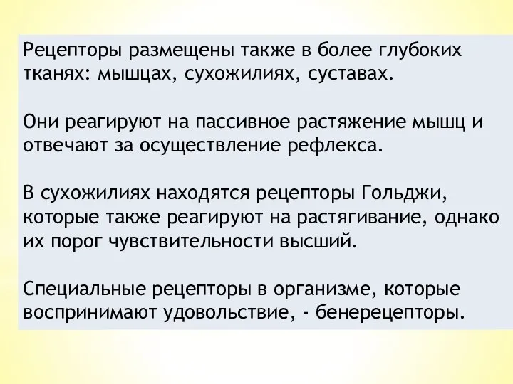 Рецепторы размещены также в более глубоких тканях: мышцах, сухожи­лиях, суставах. Они