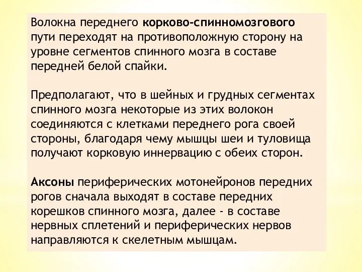 Волокна переднего корково-спинномозгового пути переходят на противо­положную сторону на уровне сегментов