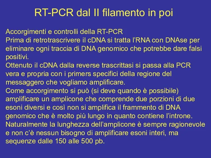 RT-PCR dal II filamento in poi Accorgimenti e controlli della RT-PCR