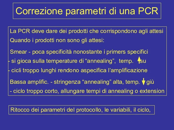 Correzione parametri di una PCR La PCR deve dare dei prodotti