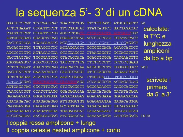 la sequenza 5’- 3’ di un cDNA GGATCCCTGT TCCTGATCAC TGATCTCTGG TTCTTTTATT