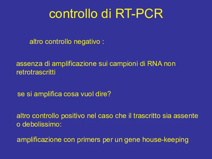 controllo di RT-PCR altro controllo negativo : assenza di amplificazione sui