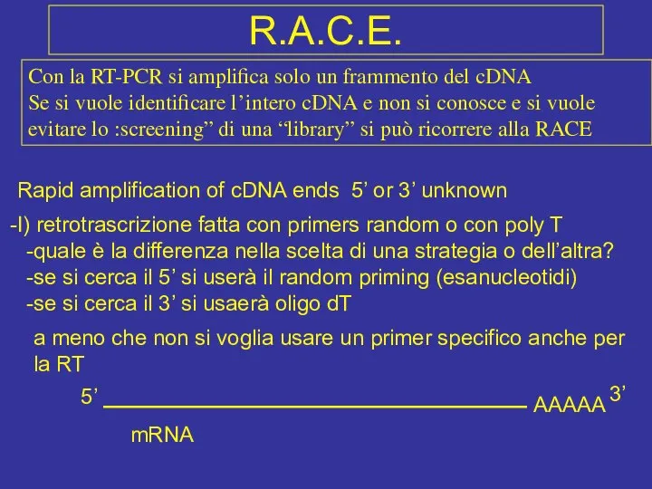 R.A.C.E. Con la RT-PCR si amplifica solo un frammento del cDNA