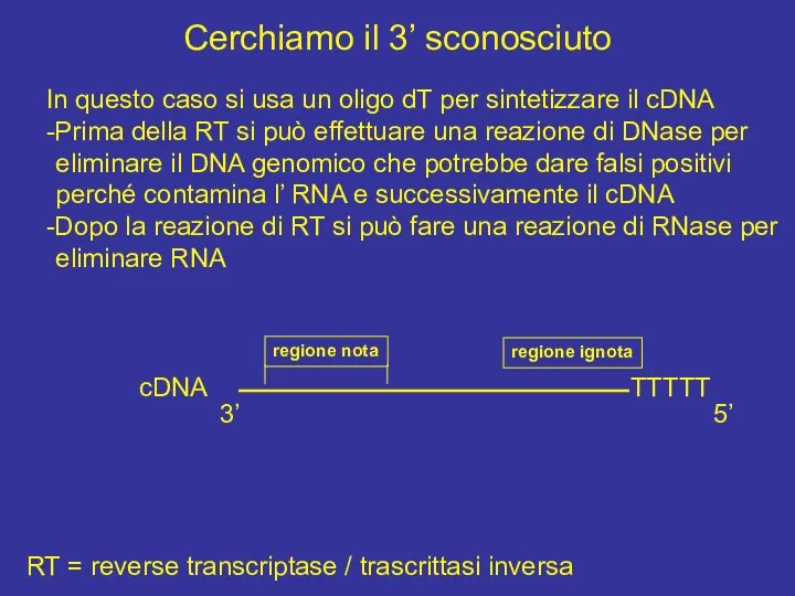 Cerchiamo il 3’ sconosciuto In questo caso si usa un oligo