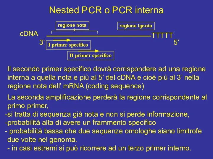 Nested PCR o PCR interna cDNA 5’ 3’ TTTTT regione nota