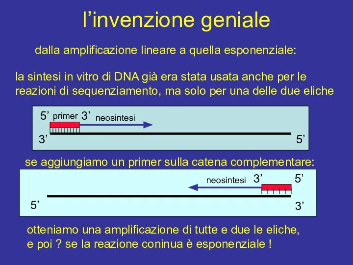 l’invenzione geniale dalla amplificazione lineare a quella esponenziale: la sintesi in