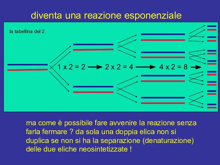 diventa una reazione esponenziale ma come è possibile fare avvenire la