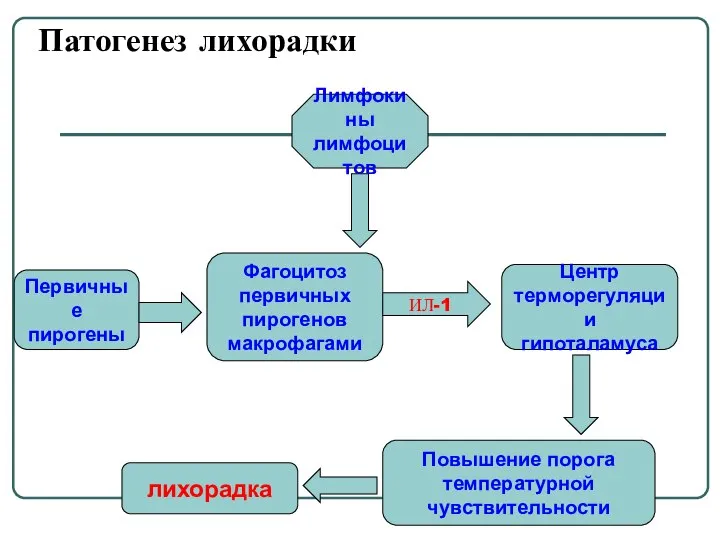 Патогенез лихорадки Первичные пирогены Лимфокины лимфоцитов Фагоцитоз первичных пирогенов макрофагами ИЛ-1