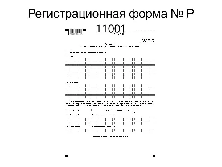 Регистрационная форма № Р 11001