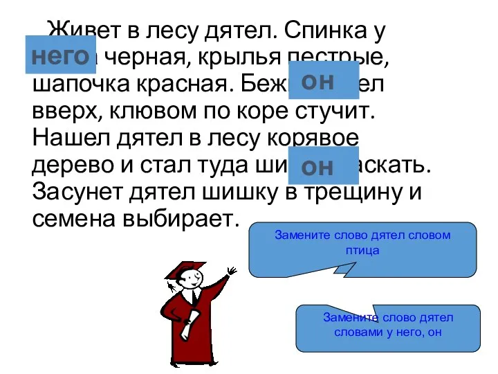 Живет в лесу дятел. Спинка у дятла черная, крылья пестрые, шапочка